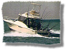 Fishing Bug Charter - Charter Fishng for Salmon and Trout off Racine, Wisconsin